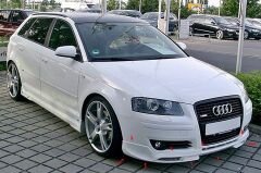 Audi A3 8P 2003-2008 Ön Tampon Eki