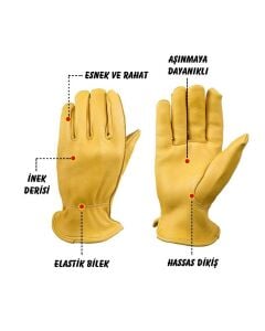 Campout Dana Derisi Eldiven Large NG-DDE