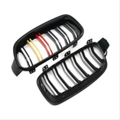 Bmw 4 Serisi F32 Uyumlu 2013-2019 M4 Görünüm Böbrek (Çift Çizgi Panjur) Alman Renk