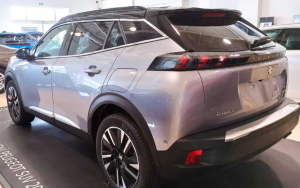 Peugeot 2008 Uyumlu Yedek Parça Cam Nikelajı - Tam Tur