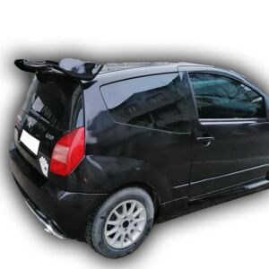 Citroen C2 Uyumlu Yedek Parça  Büyük DTM Spoiler Boyalı