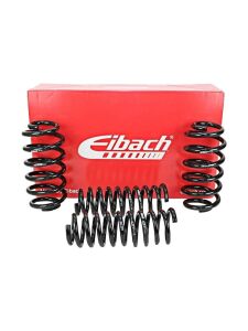 VW Transporter T5 2003- Sonrası Eibach Pro-Kit Spor Yay -30mm