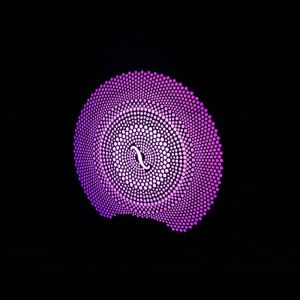 Mercedes E Serisi W213/C Serisi Uyumlu Yedek Parça 64 RENK Işıklı Hoparlör Kapağı